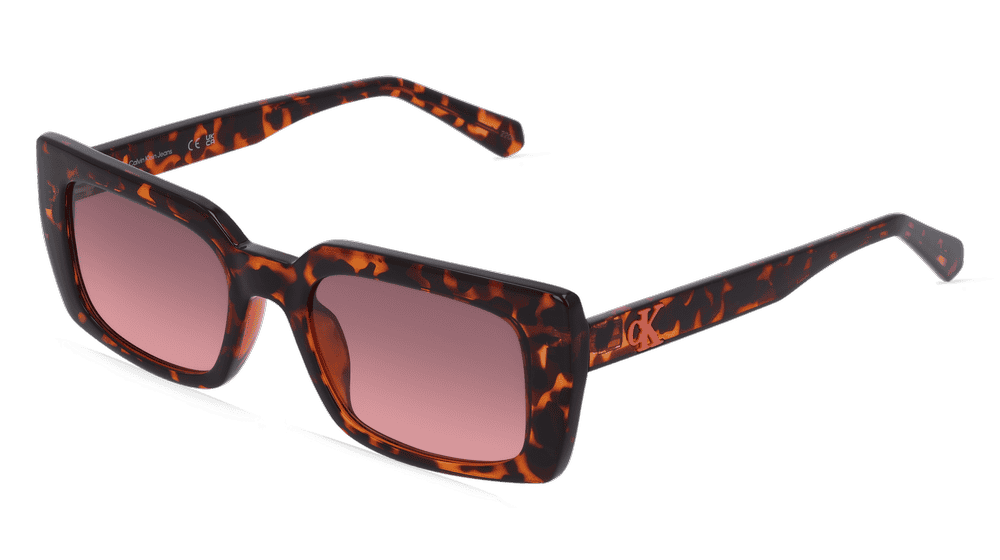 CALVIN KLEIN CKJ22606S Havanna transparent Vue d'angle