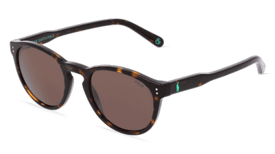 POLO BY RALPH LAUREN PH4172 Havanna brillant Vue d'angle