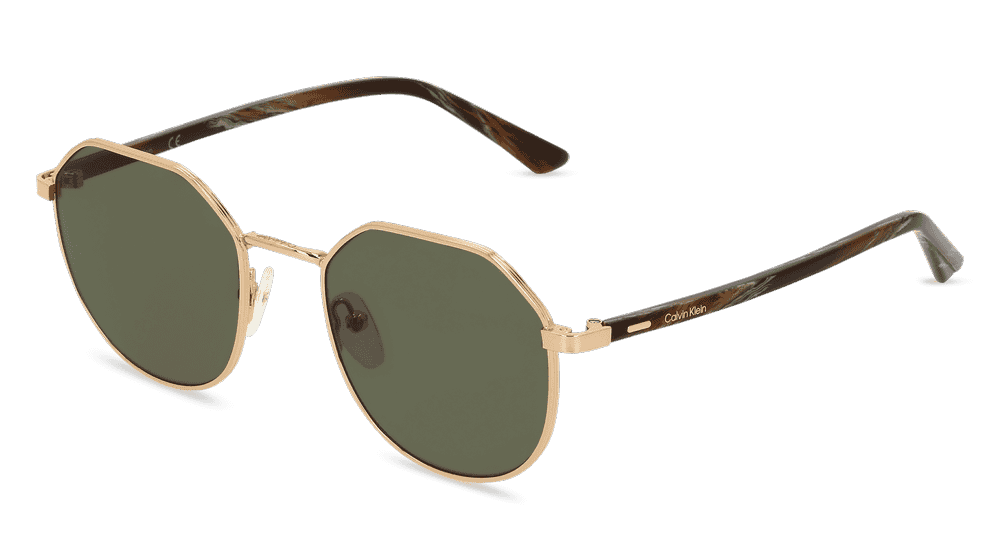 CALVIN KLEIN CK22103S goud Hoekaanzicht