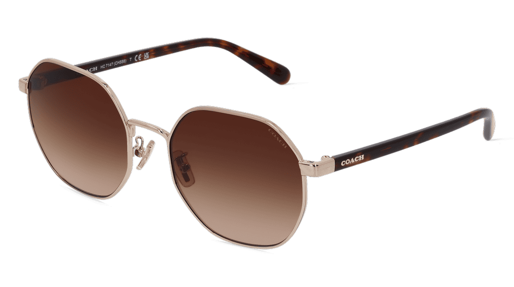 Coach HC7147 Doré clair Vue d'angle