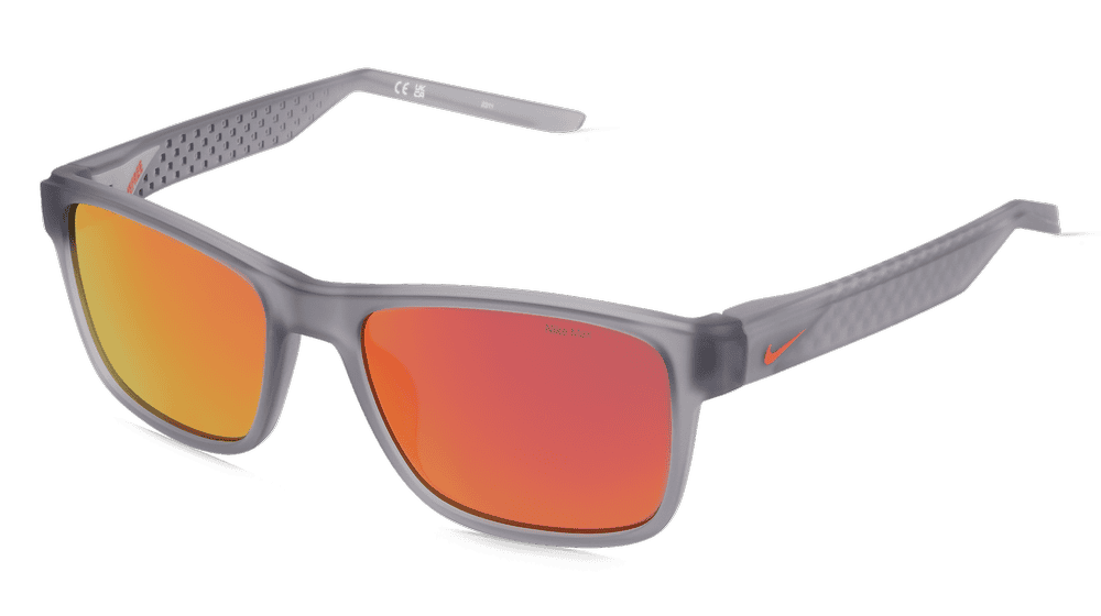 Nike LIVEFREE CLASSIC EV24011 Gris mat Vue d'angle