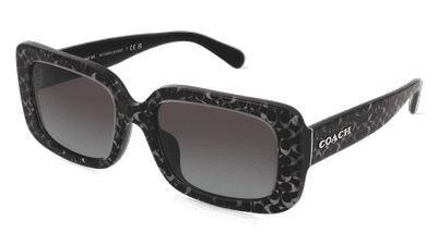 Coach HC8380U Bleu gris Vue d'angle