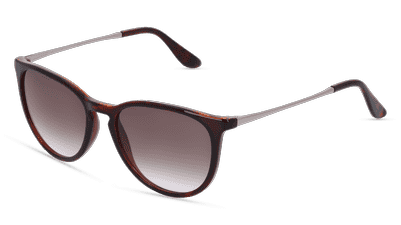 Roni Sun Havanna brillant Vue d'angle