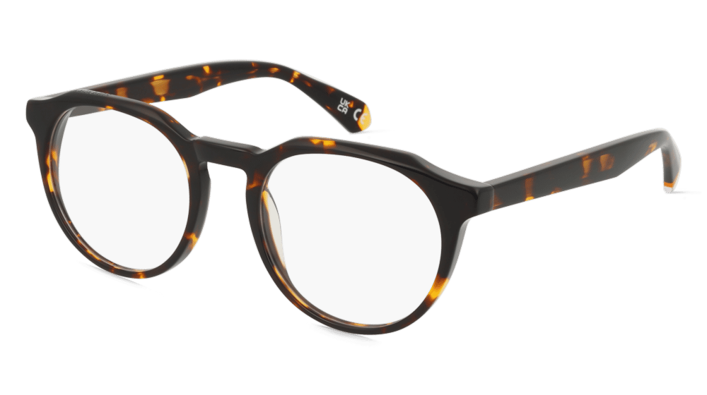 Superdry SDO 3013 Havane Vue d'angle