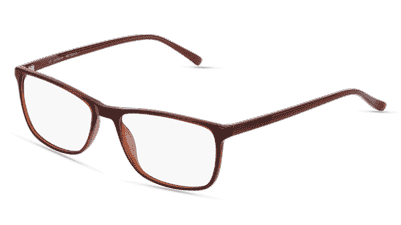 JOEP Brun transparent Vue d'angle