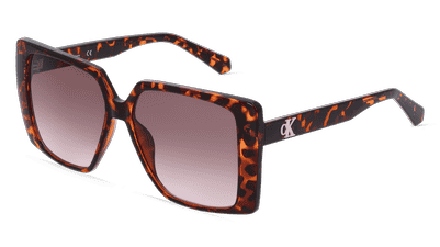 CALVIN KLEIN CKJ22607S Havanna brillant Vue d'angle