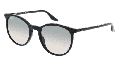 Ray-Ban RB2204 Blauw gestreept Hoekaanzicht