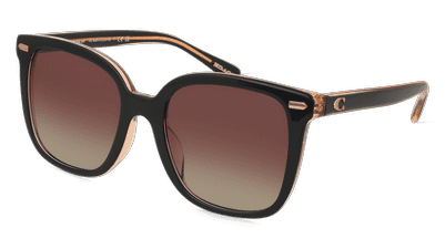 Coach HC8381U Gris foncé Vue d'angle