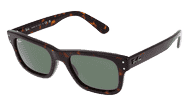 RAY-BAN RB 2283