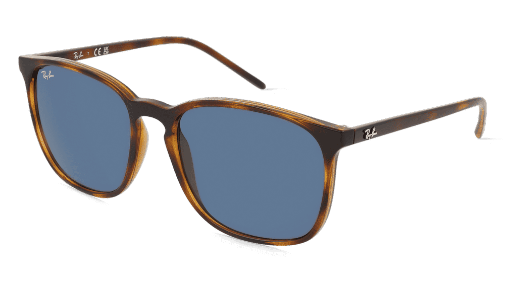 Ray-Ban RB4387 havana Hoekaanzicht