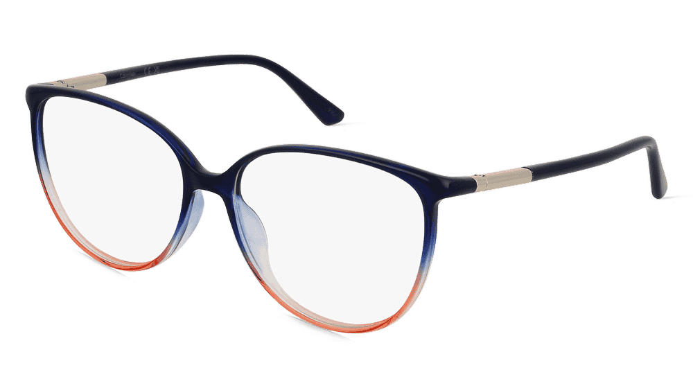 Calvin Klein CK21521 Bleu dégradé Vue d'angle