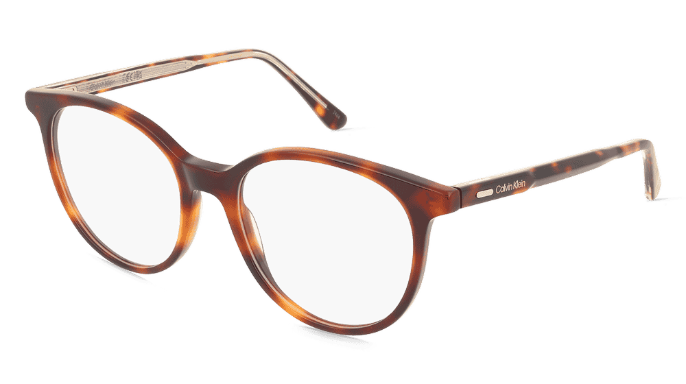 Calvin Klein CK24543 Havane Vue d'angle