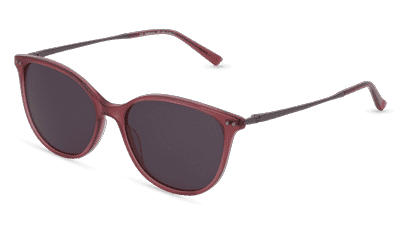 Evie Sun Brun transparent Vue d'angle