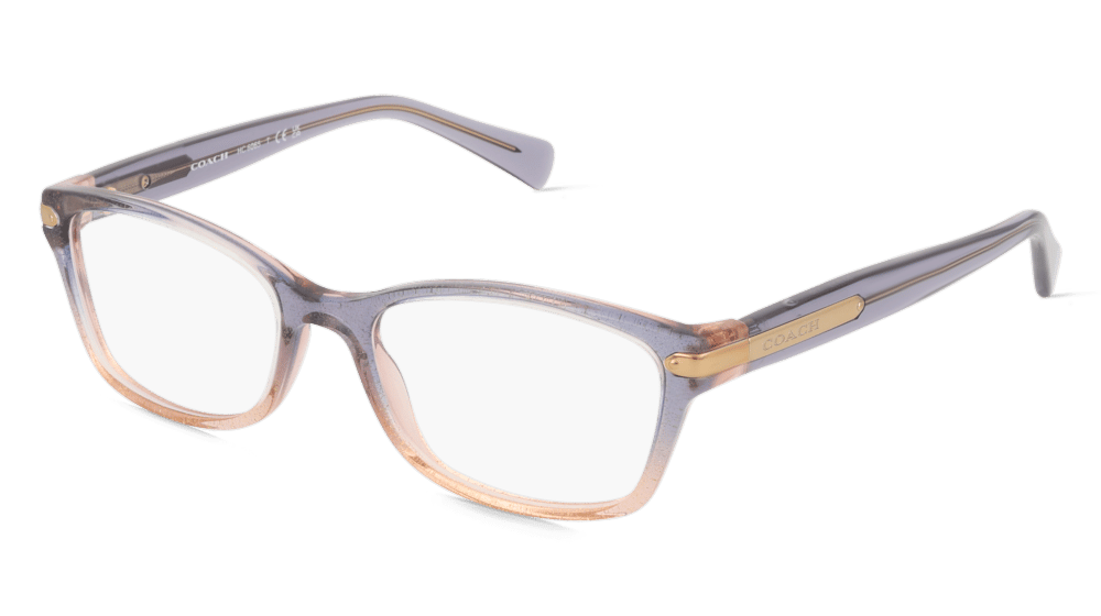 Coach HC6065 Violet rose Vue d'angle