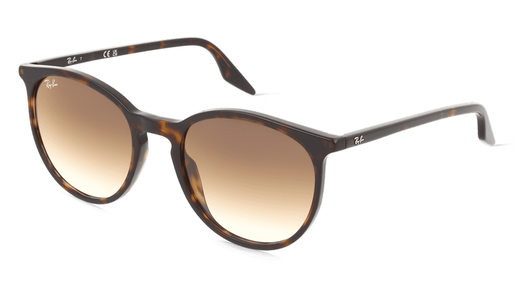 Ray-Ban RB2204 Havane Vue d'angle