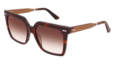 CALVIN KLEIN CK22534S