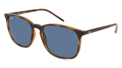 RAY-BAN RB 4387 zwart Hoekaanzicht