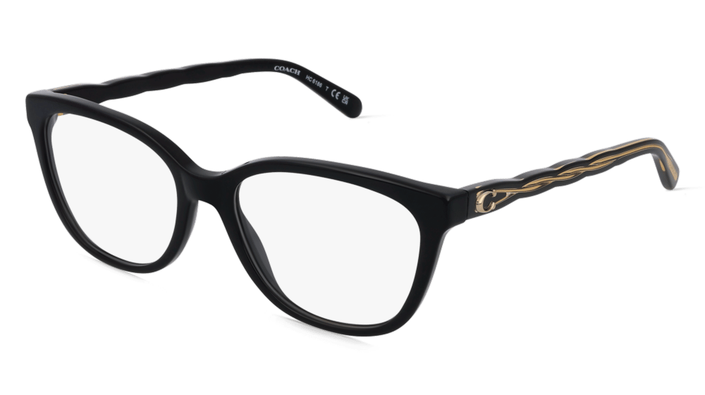 Coach HC6186 Noir Vue d'angle