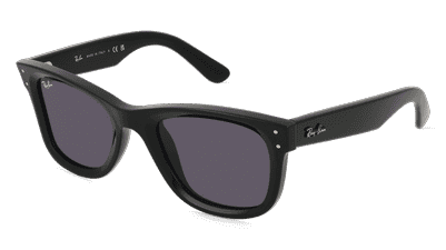 Ray-Ban RBR0502S WAYFARER REVERSE Brun transparent Vue d'angle