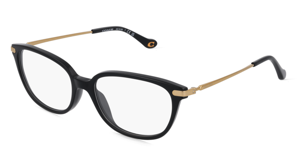 Coach HC6185 Noir Vue d'angle