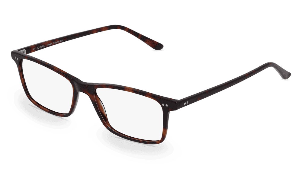 Elijah Havane Vue d'angle