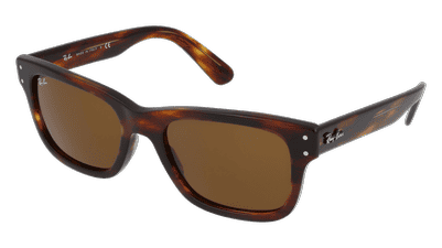 RAY-BAN RB 2283 MR BURBANK Havana Corner View