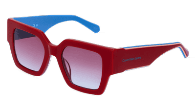 CALVIN KLEIN CKJ22638S Marron brillant Vue d'angle