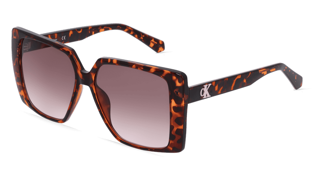 CALVIN KLEIN CKJ22607S Havanna brillant Vue d'angle