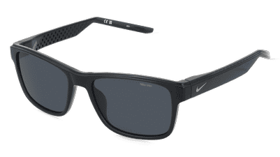 Nike LIVEFREE CLASSIC EV24011 Gris mat Vue d'angle
