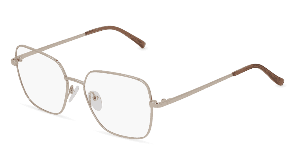 Pien Doré Vue d'angle
