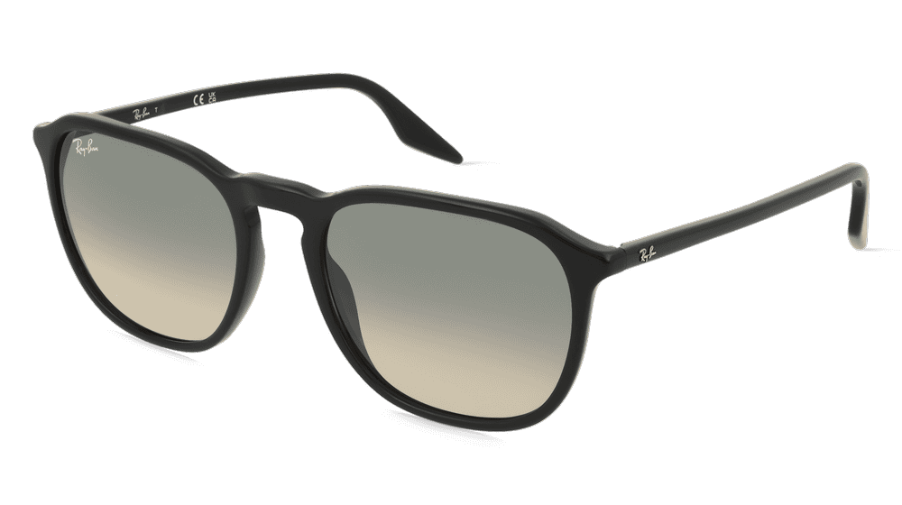Ray-Ban RB2203 Noir Vue d'angle