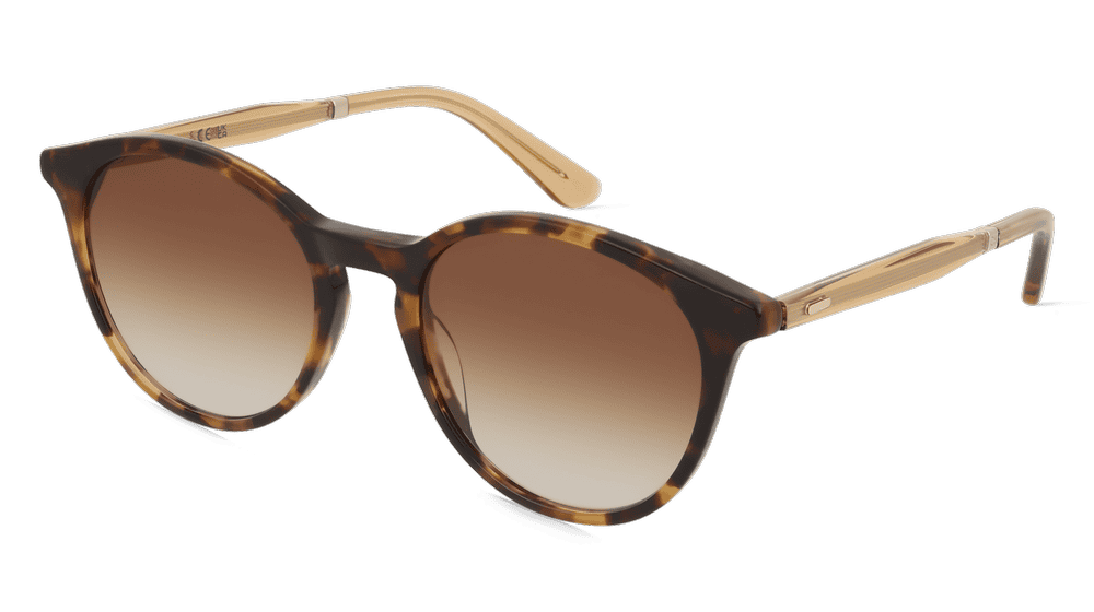 Calvin Klein CK23510S Havane brun Vue d'angle