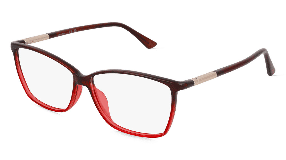 Calvin Klein CK21524 Bourgogne dégradé Vue d'angle