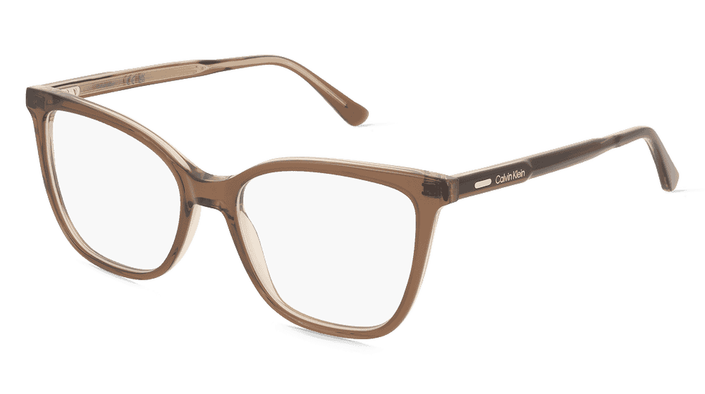 Calvin Klein CK24520 Brun Vue d'angle