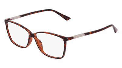 Calvin Klein CK21524 Bourgogne dégradé Vue d'angle
