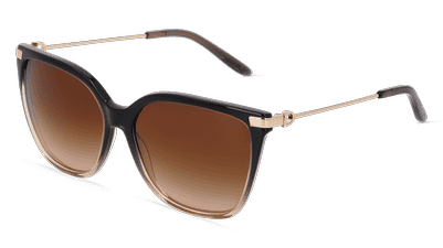 POLO RALPH LAUREN RL8209 Havanna brillant Vue d'angle