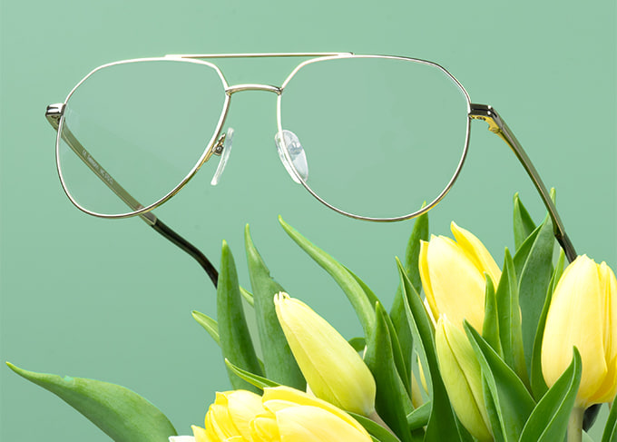 Lensplaza België: Contactlenzen & brillen voor de beste prijs